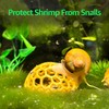 CTWPets Shrimp Dome Hide - Aquarium Cherry Shrimp Hide -