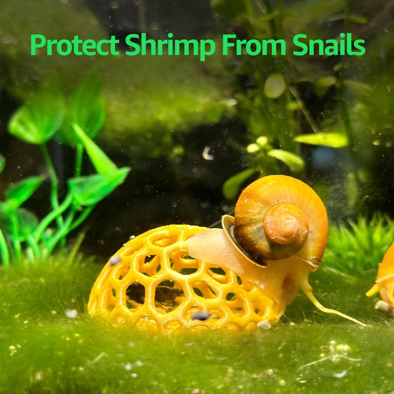 CTWPets Shrimp Dome Hide - Aquarium Cherry Shrimp Hide -