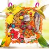 Bird Toys for Small & Medium Parrots - Natural Foraging