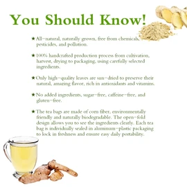 Soilmount Organic Ginger Tea | 100% Natural Ginger Root | Caffeine-Free Herbal Tea | 18 Tea Bags