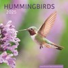 Hummingbirds 2025 Wall Calendar