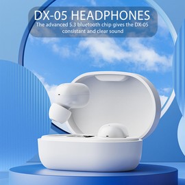 DX-05 True Wireless Earbuds Comfortable in Ear Headphones 5.3 Bluetooth, Light-Weight, Built-in Microphone, IPX5 Waterproof, Immersive Premium Sound (Black)