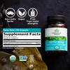 ORGANIC INDIA Gotu Kola Herbal Supplement - Adaptogen for Brain