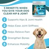 Dog Hip and Joint Support Supplement - Glucosamine Chondroitin, MSM,
