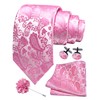 GUSLESON Pink Paisley Tie for Wedding Business Party Necktie Pocket