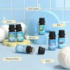 ARVIDSSON Laundry Collection Essential Oil Set, Natural Clean Essential Oils