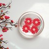 Handmade Decorative Candle (Floating Flower Red)