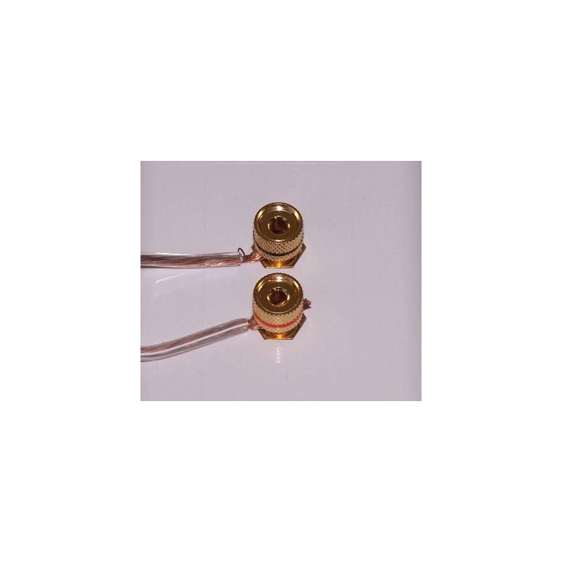 2-Pack Speaker Wire Wall Plate (Speaker Wall Plate, Banana Plug