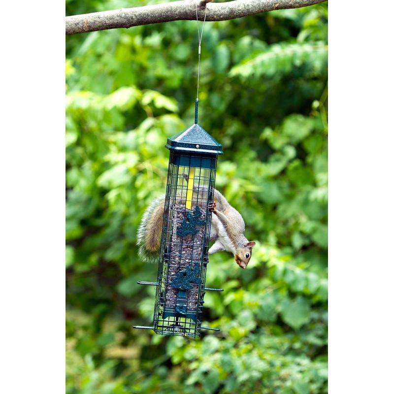 Squirrel Solution200 Squirrel-proof Bird Feeder w/6 Feeding Ports, 3.4-pound Seed
