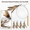 Adpartner Cat Wand Toys, 10-Pack Feather Teaser Cat Toy Set