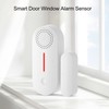 Door Magnetic Alarm Sensor WiFi Connection Light Sound APP Remind