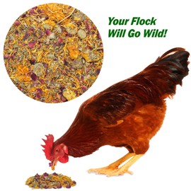 Exotic Nutrition Egg-Cellent (2oz) - Healthy All-Natural Chicken Nesting Herbs - Natural Flowers, Herbs & Calcium Carbonate - Promotes Healthy Chickens & Eggs (2 oz)