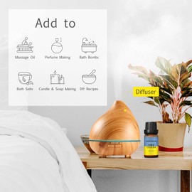 AROPERIMA Pina Colada Fragrance Oil, Premium Grade Scented Oil for Aroma Diffusers, Perfume, Candle and Soap Making - 10ml