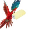 Parrot Perch, Bird Beak Grinding Stone, Bird Parrot Chewing Blocks