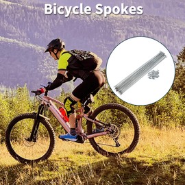 TUCKBOLD Bicycle Spokes Bike Wheel Spokes Silver Tone Nipple 1 Set 13G 293mm Length 45 Steel Galvanized
