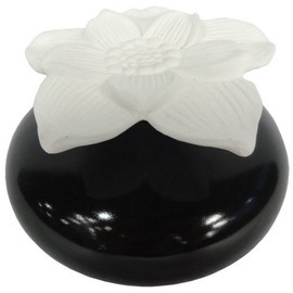Zen‘Arôme Duftspender/Diffusor, Floral Narcissus, Schwarz