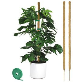 2 Pack Moss pole - 46 Inch Moss Pole Indoor - Monstera Plant Support - Plant Stakes for Indoor Plants - Plant Stiks support Tall - Moss Pole for Climbing Plants support - Monstera Pot - Moss Poles