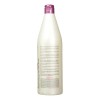 Champú Salerm Cosmetics Salerm Hi Repair 01 1l