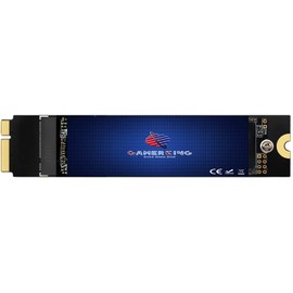 GAMERKING 256GB SSD for Mid 2012 MacBook Air A1466 (EMC 2558), A1465 (EMC 2559), High Performance Replacement Solid State Drive (Mac OS Pre-Installed)