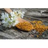 500 g Raw Bee Pollen Wildflowers and Forest Herbs, Unheated,