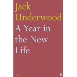 A Year in the New Life