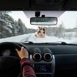 4 Pcs Car Air Freshener Cat Funny Car Air Freshener Cat Gifts Meme Car Air Freshener Novelty Air Freshener for Car Gifts for Cat Lovers Funny Car Accessories Decor Hanging Fresheners Car Interior