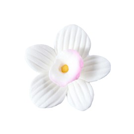 O'Creme Cymbidium Royal Icing Sugar Flower 1 Inch, Pack of 12