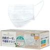 Inner Gauze Non-woven Mask (White) 1 Box of 30