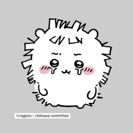 Charapita Chiikawa Chigirechiikawa Iron on Printed Sheet 5 Mini CK-A-202307-mi8 Mini Size 2.6 x 2.6 inches (65 x 65 mm) Special Heat Transfer Sheet