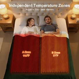 FVERWAG Heating Blanket Queen Size Washable - 84 x 90 Inch Double Zone Electric Blanket with 10 Hours Auto Off, 5 Heat Settings, Soft Flannel Sherpa Heated Blanket for Bed, ETL Certified, Green