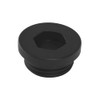 Aolemi Outdoor Shower Valve Body Plug replacement Matte Black