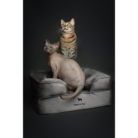 NOAH & PAW Small Dog Bed, 20x15x8 Inch, Cat Bed for Indoor Cats, Orthopedic Eggshell Memory Foam Infused with Cooling Gel, Waterproof Inner Cover Machine Washable (Velvet Collection)