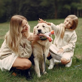 EASTPET Dog Chew Toys for Aggressive Chewers Medium/Large Breed,Beef Flavor,Tough Bones with Nylon(1 Pack)