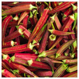 Everwilde Farms - 1 Lb Organic Red Burgundy Okra Seeds - Gold Vault Packet
