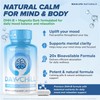 Chill Pill Happy Pills Mood Stabilizer Women and Men with