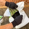 WELLS LAMONT Jersey Cotton Blend Work and Gardening Gloves with