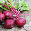 [Chamgoods] Red beet powder 500g 5 packs / [참굿즈] 레드비트