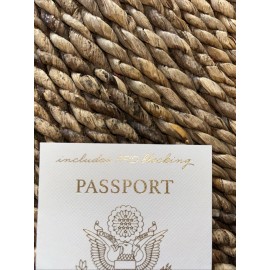Eccolo Passport Holder World Traveler  vegan leather stamped NEW