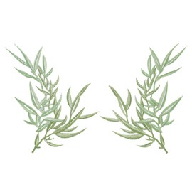 AHANDMAKER 2 x Green Applique with Forest Leaves Sewing Embroidery Leaf Pattern Appliques Shoulder Collar Embellishment Costume Decorative Patches For Clothing DIY Crafts