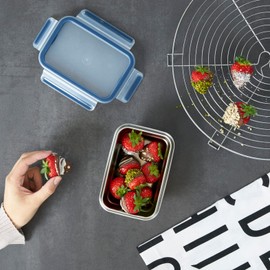 Tefal N1150310 MasterSeal Stainless Steel Food Storage Container, Durable, Lightweight and Hygienic 304 Stainless Steel, Leak-Proof, Frost-Resistant, Dishwasher Safe, Oven Safe, German Clip-on Lid, 0.5 L