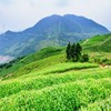 Chinese Premium Longjing Tea Spring Long Jing Green Tea Genuine