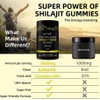 Set of 3 Altai Shilajit Resin Highly Concentrated | 3