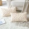 OTOSTAR Cushion Covers 30x50cm Nordic Set of 2 Short Wool