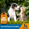 Milk Thistle for Dogs & Cats – Liver Support for