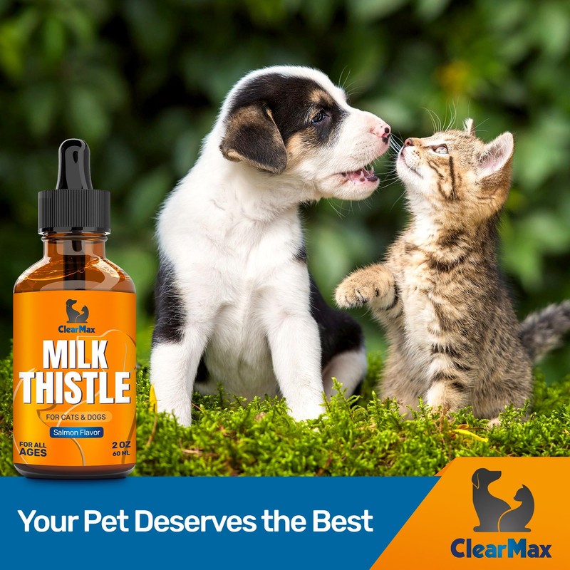 Milk Thistle for Dogs & Cats – Liver Support for
