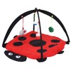 Foldable Cat Activity Play Mat Tent Multifunction Pet Bed with