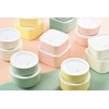 Tatsumiya Pistachio Horn 30499 Quick Washable Storage Container