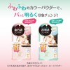 Pore Putty Craftsman Color Loose Powder 01 Natural Pink Foundation