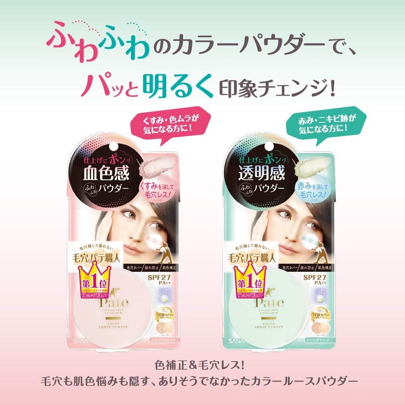 Pore Putty Craftsman Color Loose Powder 01 Natural Pink Foundation