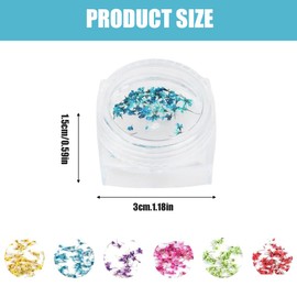 EYVRPAU Set of 6 Nail Art Flowers Set, Gel Nail Accessories, 6 Colours, Nail Art Stickers, Dry Flowers Kit, Dried Flowers Accessories Set, DIY Nail Decoration